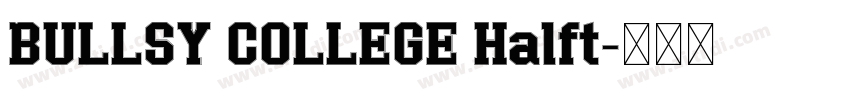 BULLSY COLLEGE Halft字体转换